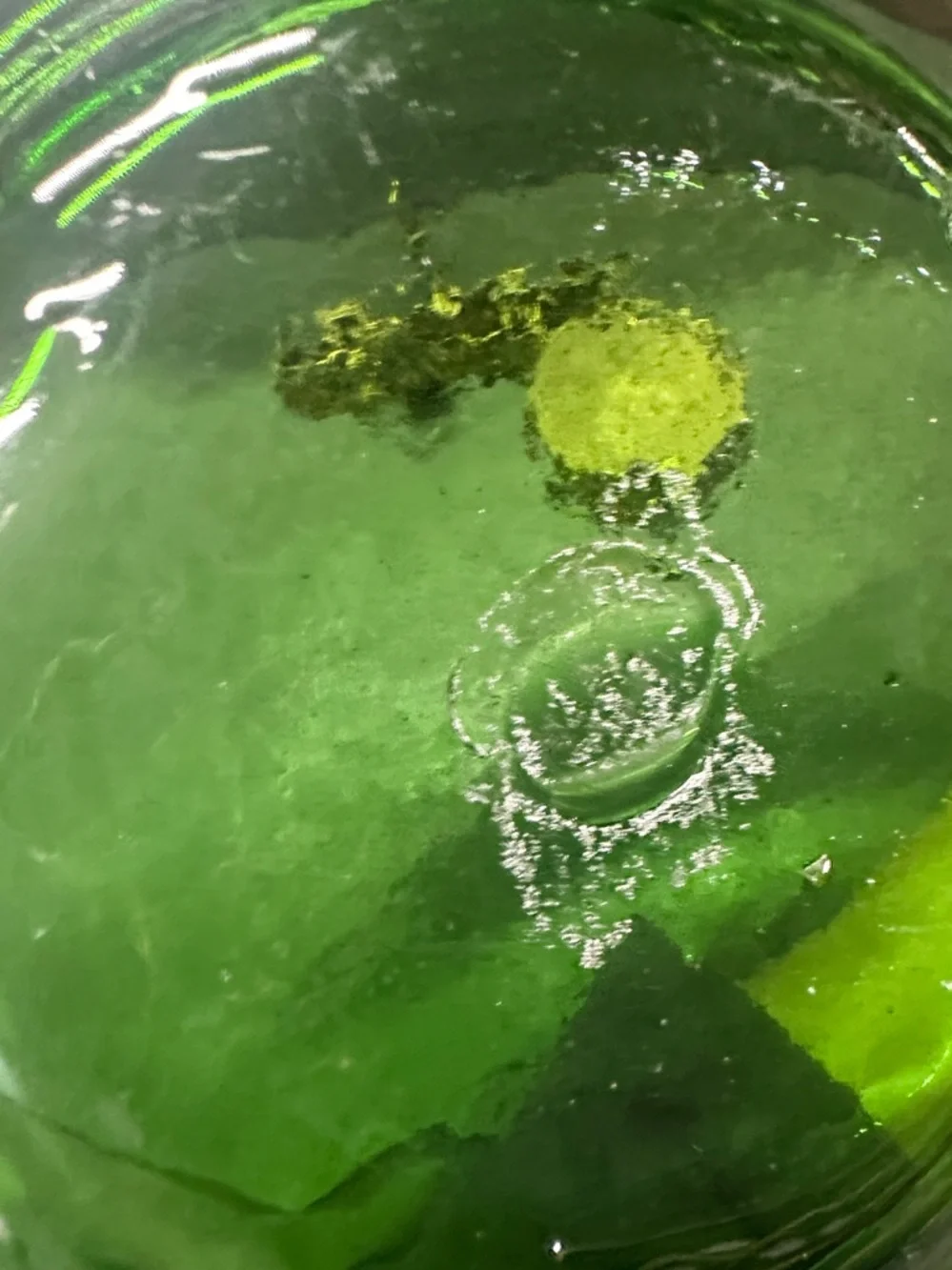 Beautiful Hand Blown Glass ART STUDIO Wall Platter GREEN FISH OCEAN NAUTICAL 13